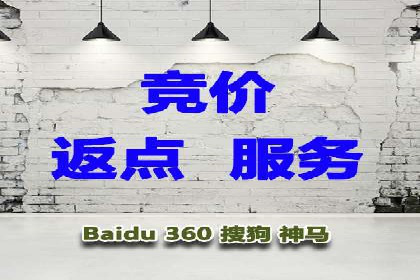 成功案例：SEM竞价托管的策略与效果